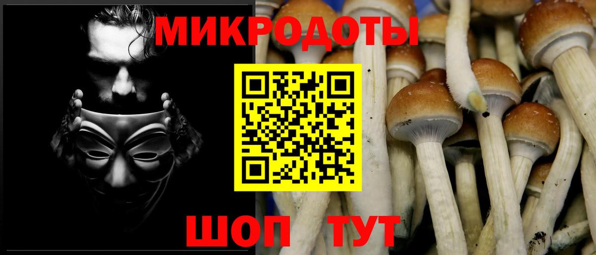 Галлюциногенные грибы Psilocybine cubensis  Галлюциногенные грибы Cubensis  Вход с VPN  Биробиджан 